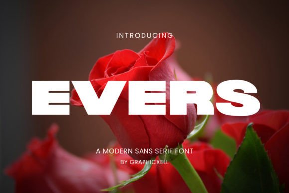 Evers Font Review: Minimalist Branding for Small Business